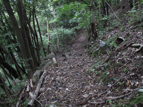 20181016hike (241)